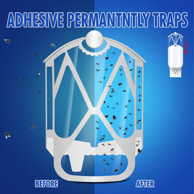 Insect trap refill glue boards