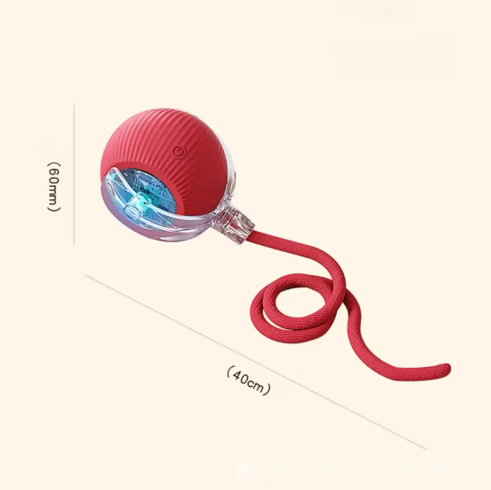 Interactive Rolling Cat Ball