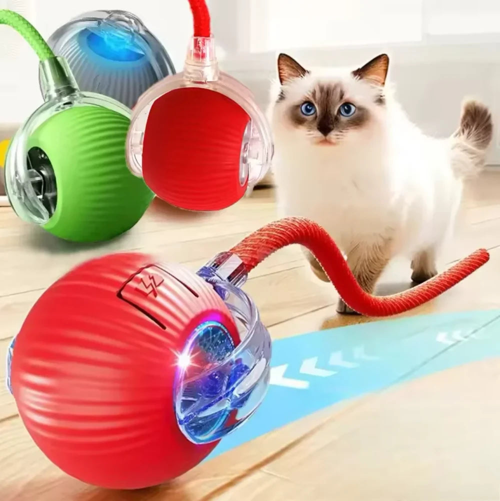 Interactive Rolling Cat Ball