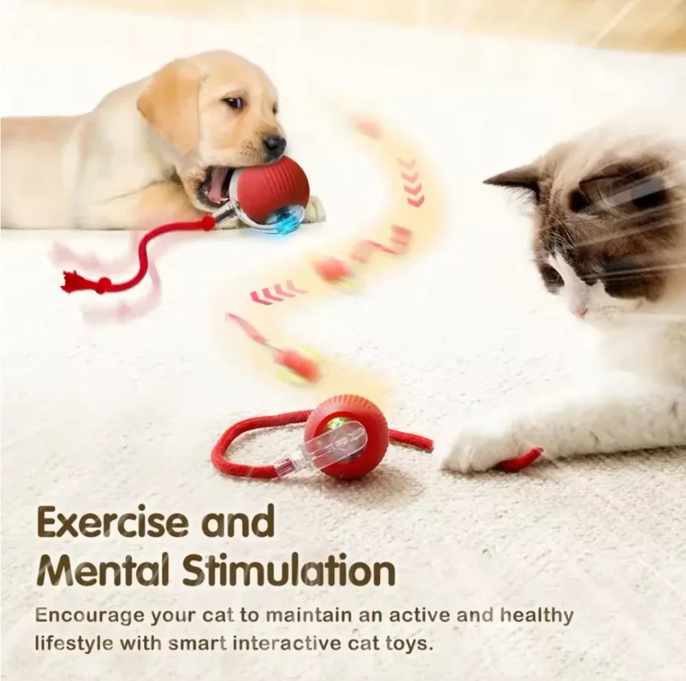 Interactive Rolling Cat Ball
