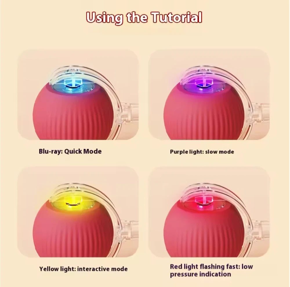 Interactive Rolling Cat Ball