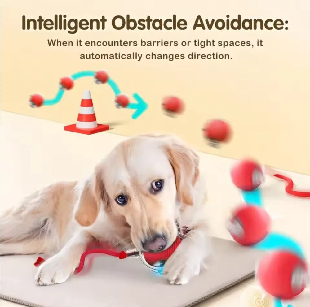 Interactive Rolling Cat Ball