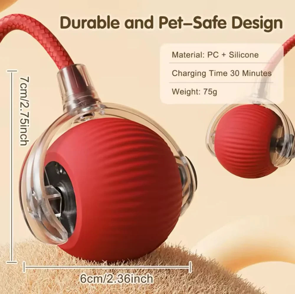 Interactive Rolling Cat Ball