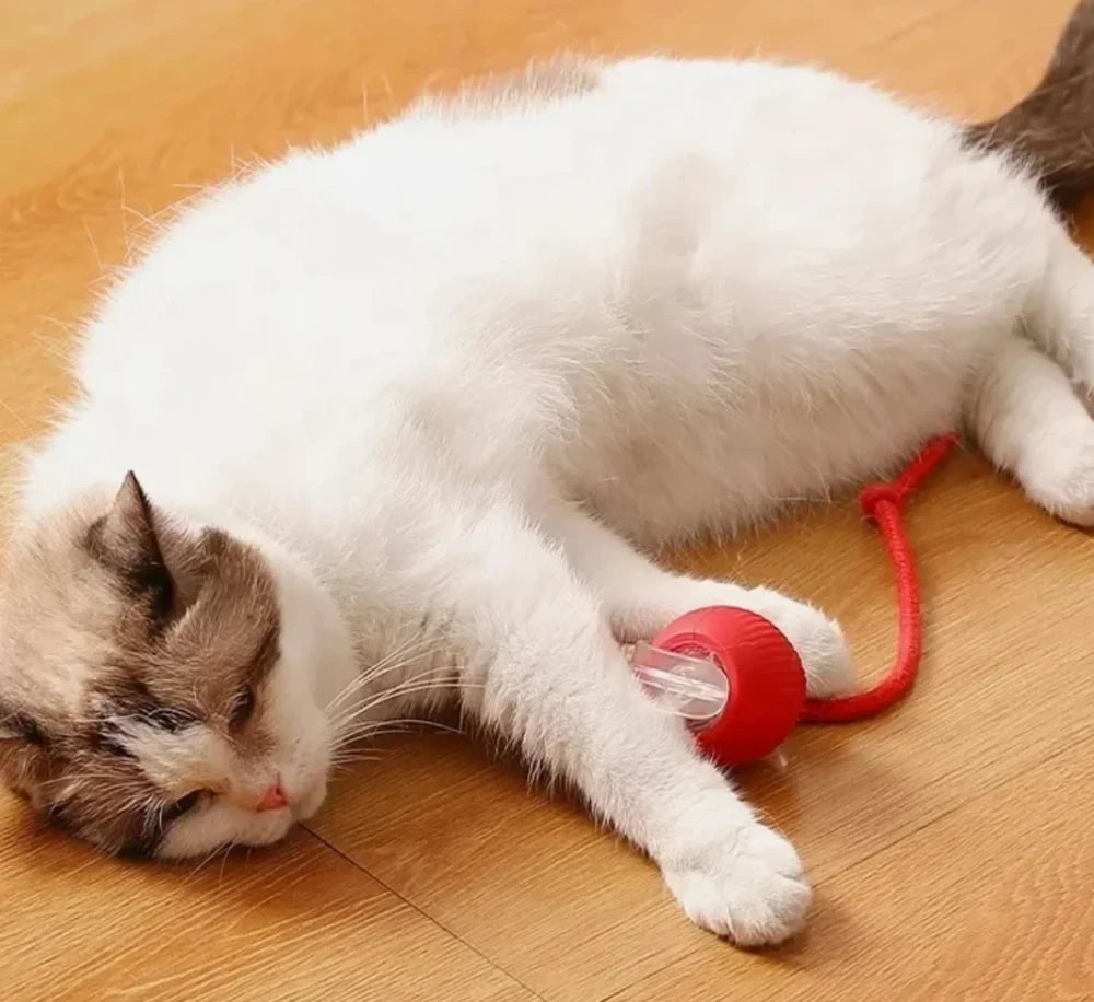 Interactive Rolling Cat Ball