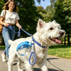Foldable Travel Dog Water Bottle