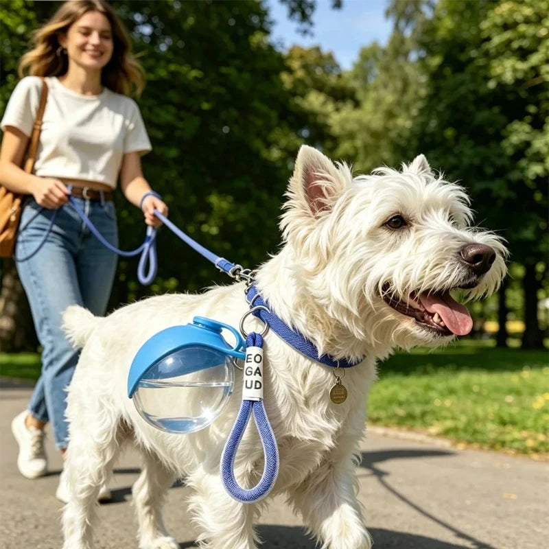 Foldable Travel Dog Water Bottle