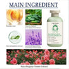 Aloe Vera Exfoliating Facial Gel