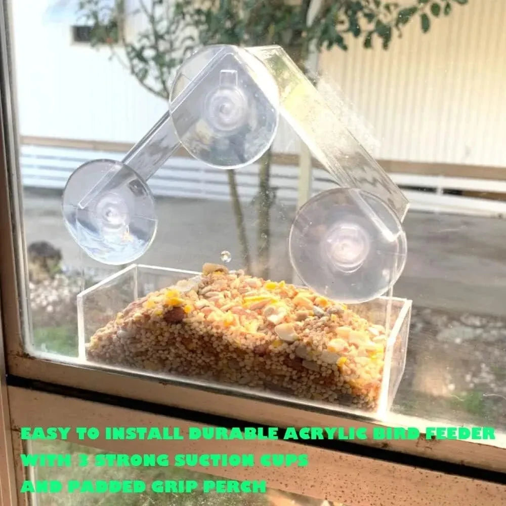Clear Acrylic Window Bird Feeder
