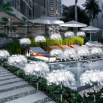 Solar LED Firework Garden Lights